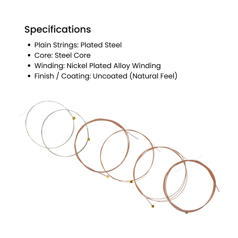 Alice A506-SL Electric Guitar Strings - .009-.042