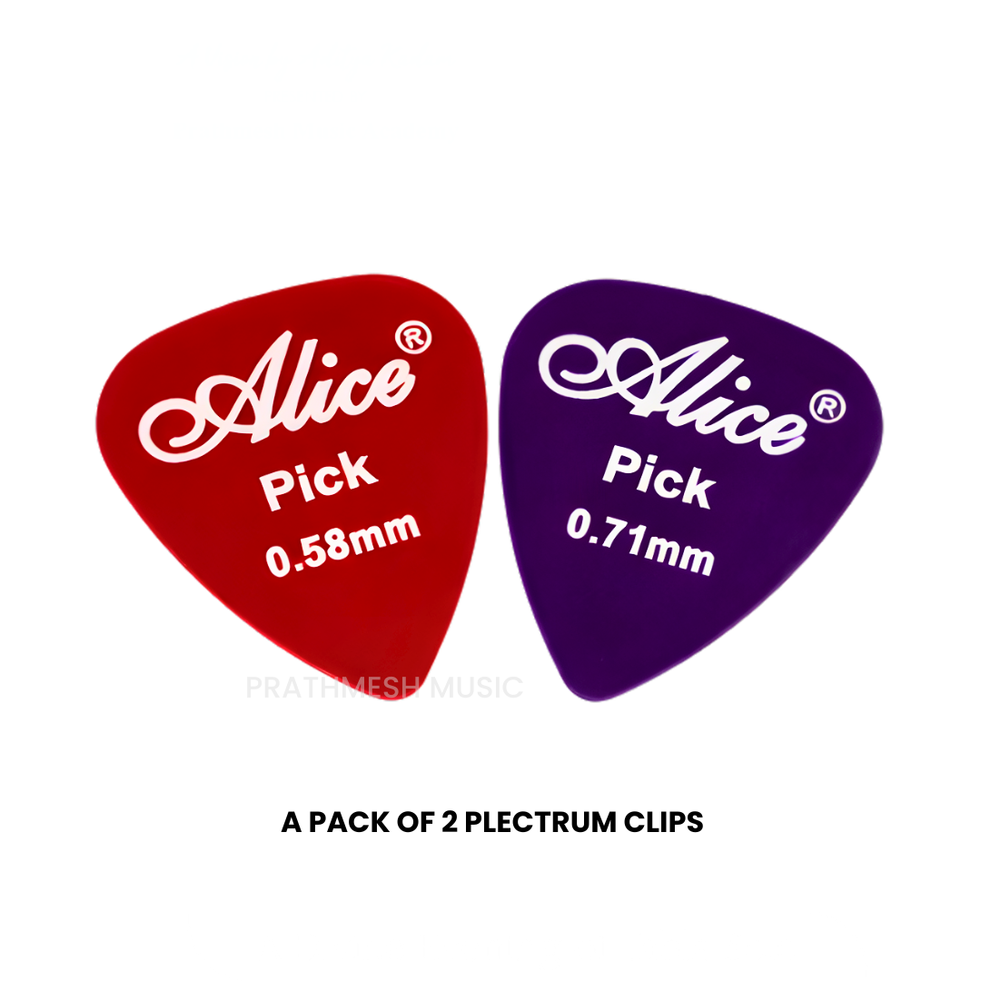 Alice APE-2 Guitar Picks (2 pcs)
