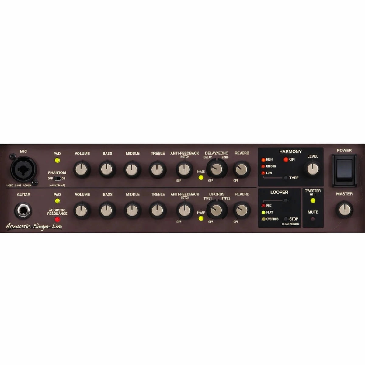 Boss ACS-LIVE Acoustic Chorus Guitar Amplifier