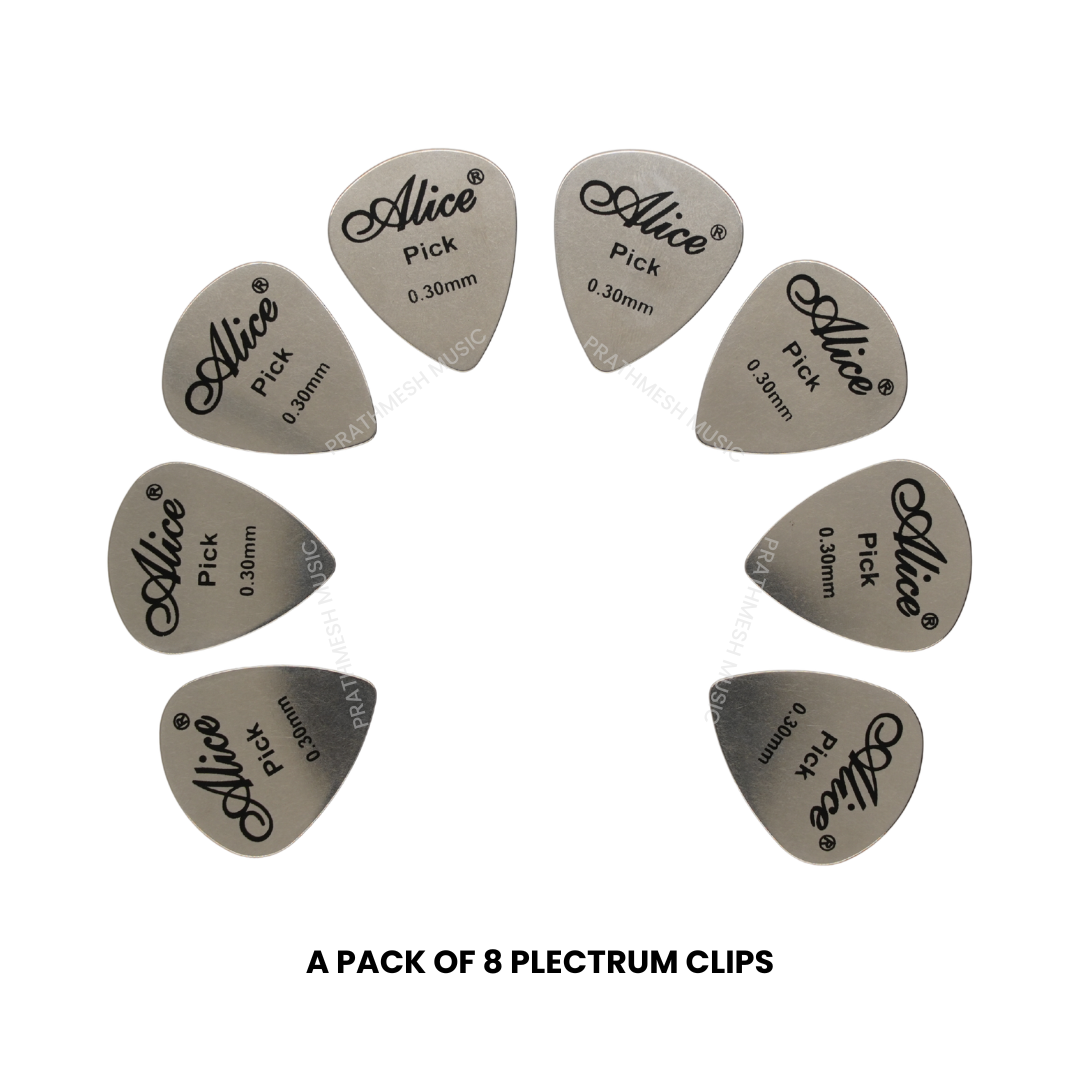 Alice APSTGB2-8 Stainless Steel Plectrum