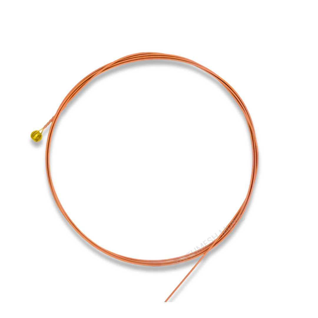 Alice A2065I-4 (4th String) D-STRING Acoustic Guitar Strings