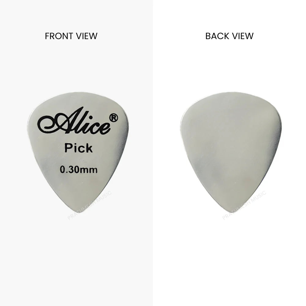 Alice APSTGB2-2 Stainless Steel Plectrum