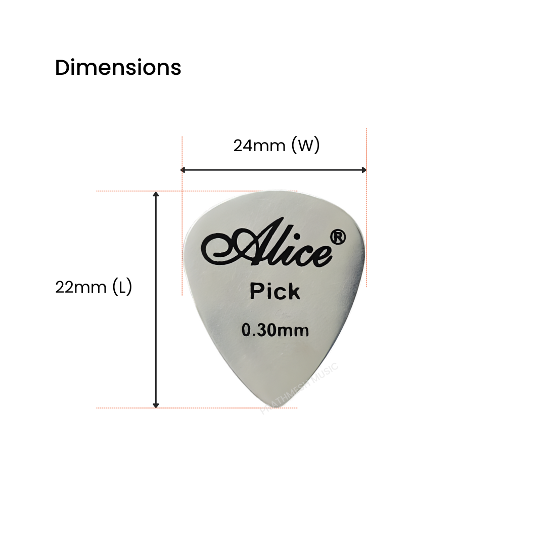 Alice APSTGB2-2 Stainless Steel Plectrum