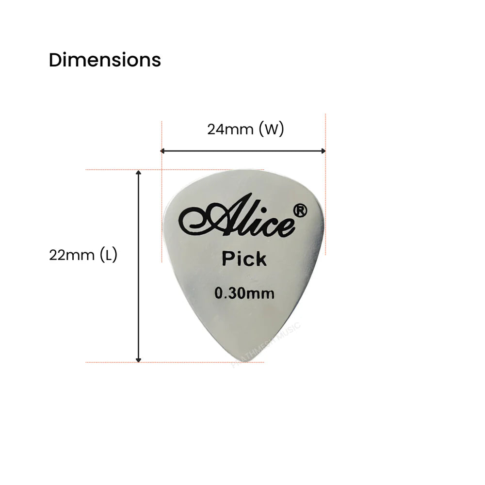 Alice APSTGB2-4 Stainless Steel Plectrum