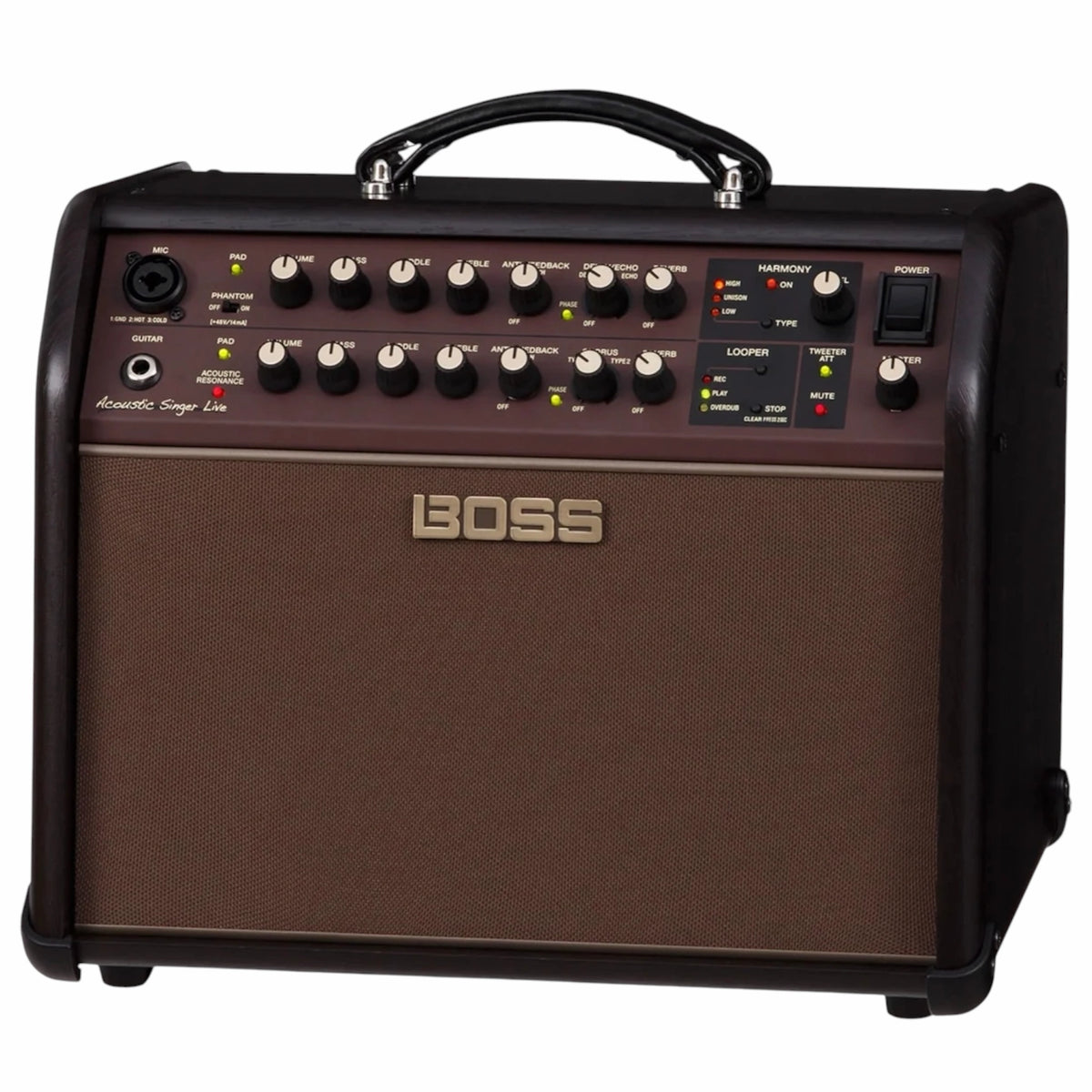 Boss ACS-LIVE Acoustic Chorus Guitar Amplifier
