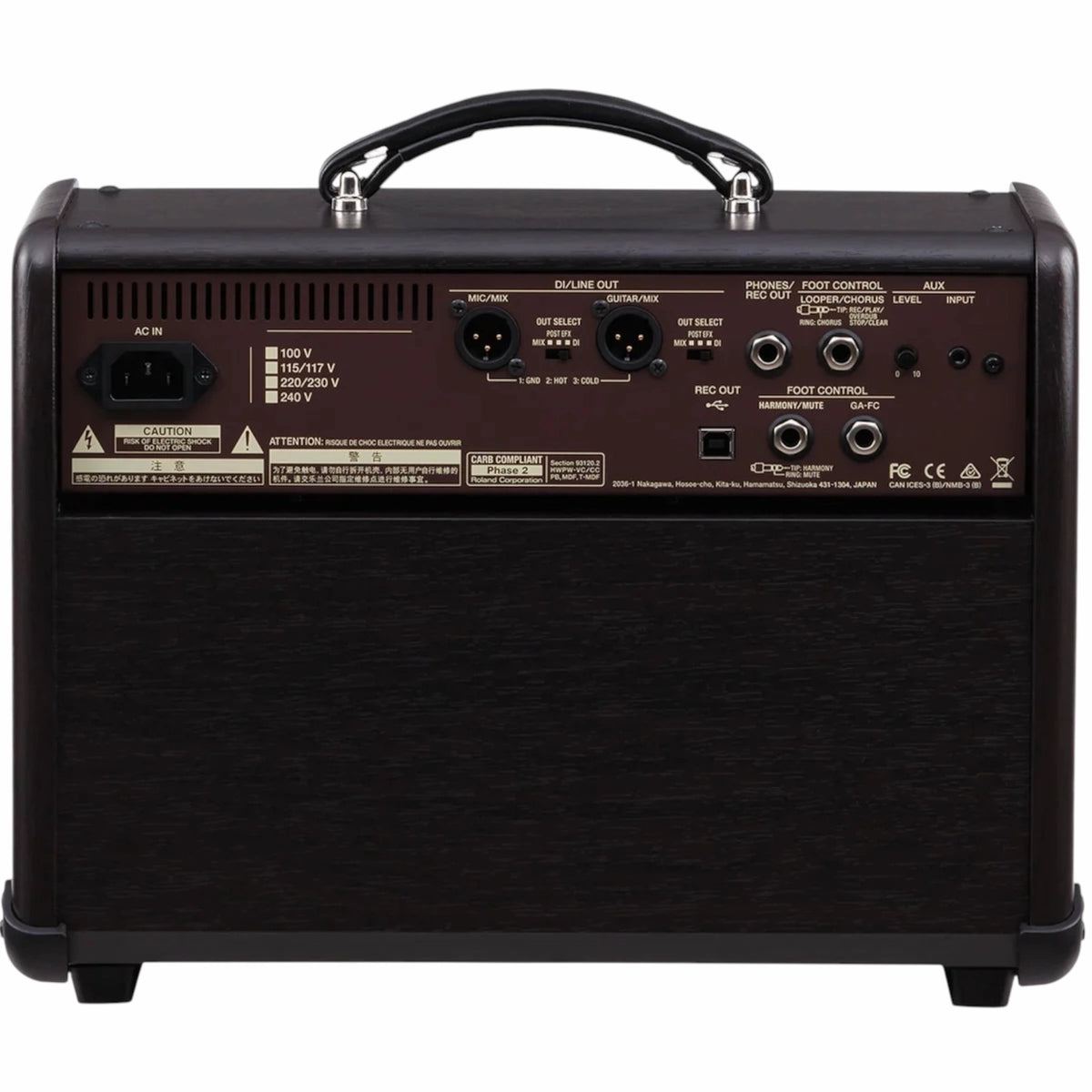 Boss ACS-LIVE Acoustic Chorus Guitar Amplifier