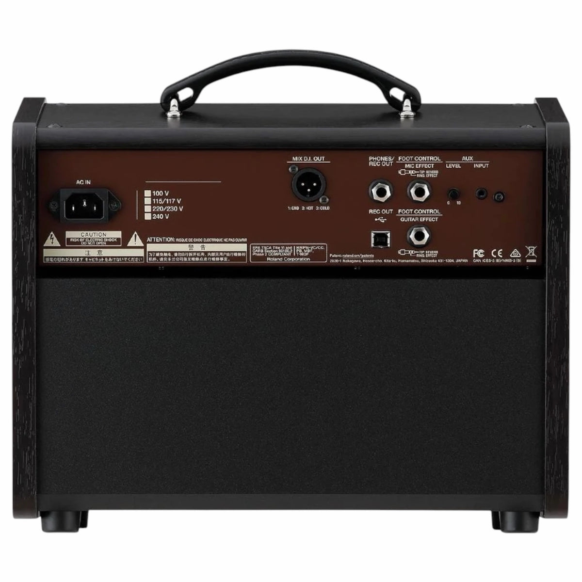 Boss ACS-LIVE LT Acoustic Guitar Amplifier