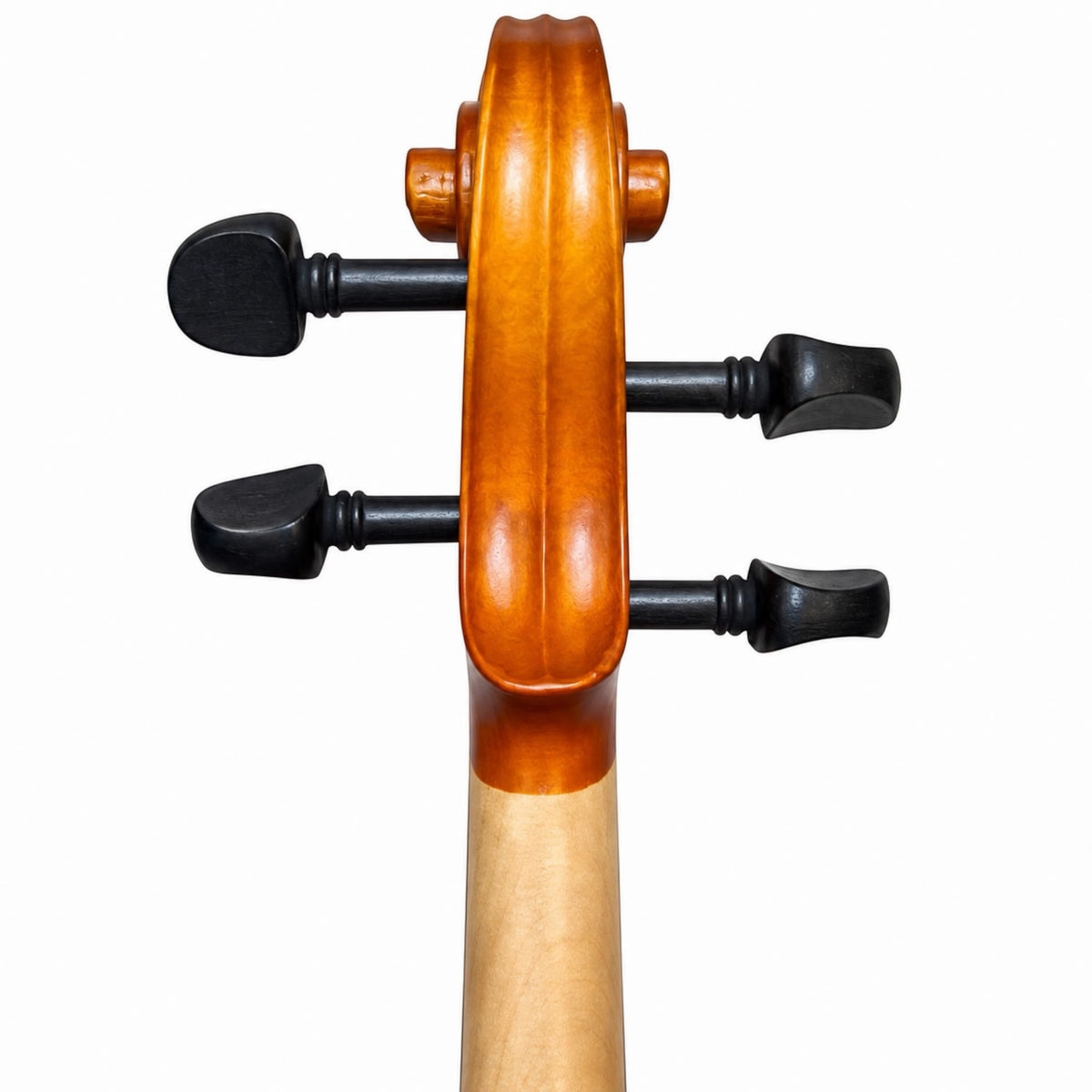 Granada Adagio Matte Finish Violin Outfit - 4/4 Size