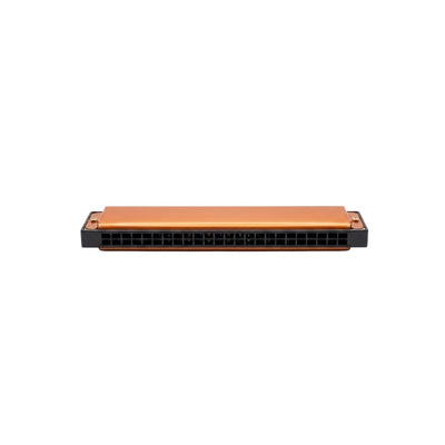 Bee 24H Tremolo Harmonica - 24 Holes