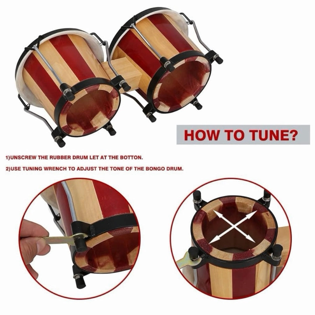 Clapbox Bongo - Multicolor