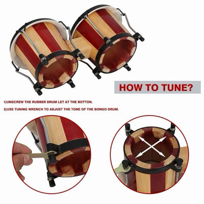 Clapbox Bongo - Multicolor