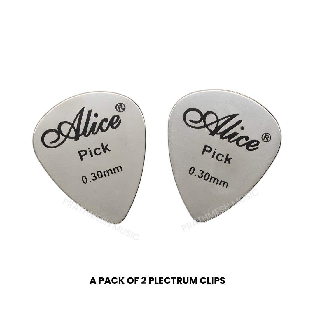 Alice APSTGB2-2 Stainless Steel Plectrum