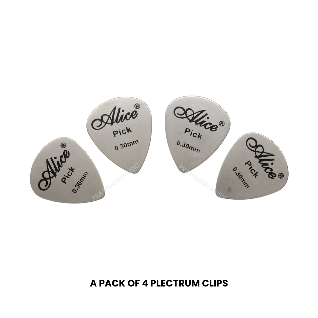 Alice APSTGB2-4 Stainless Steel Plectrum