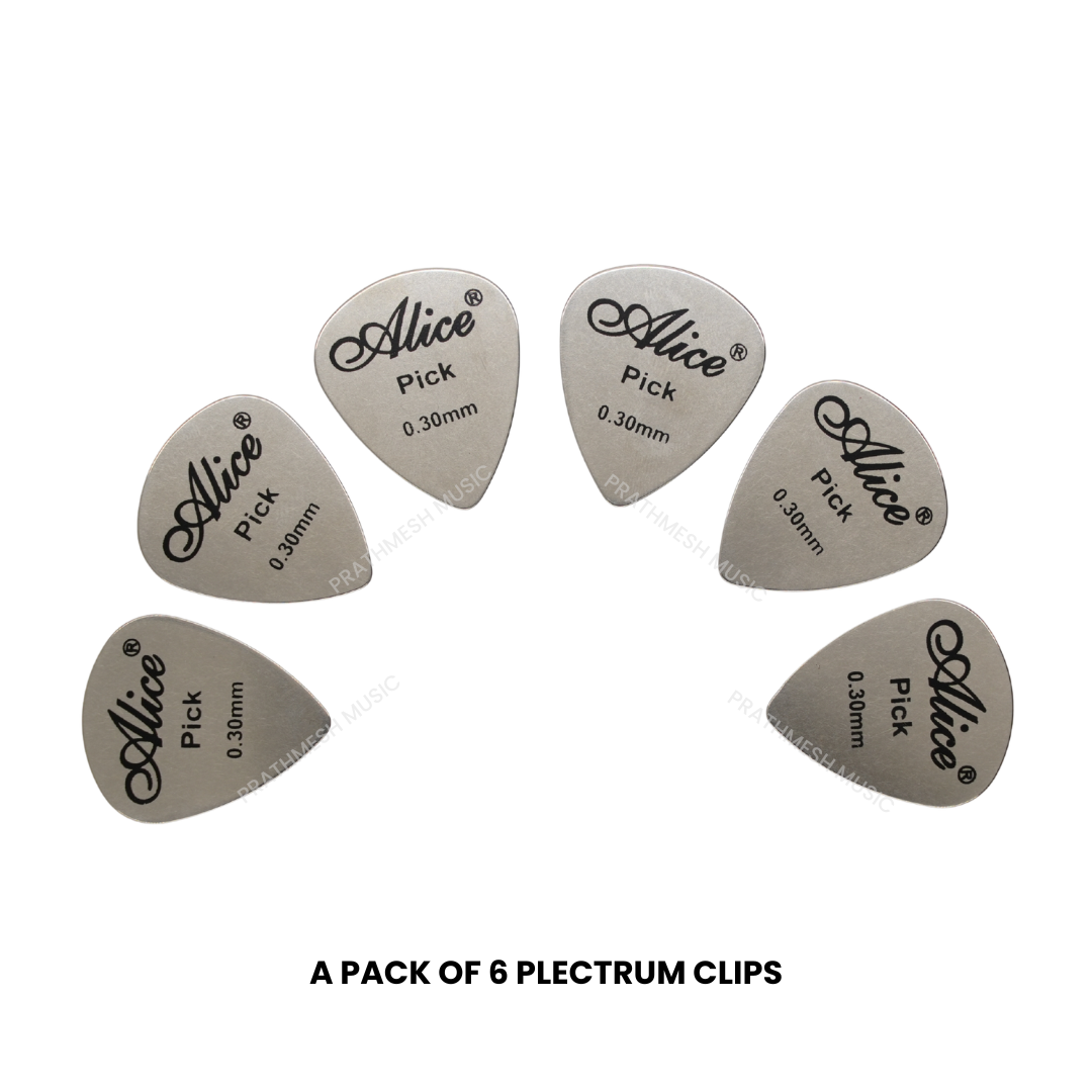 Alice APSTGB2-6 Stainless Steel Plectrum