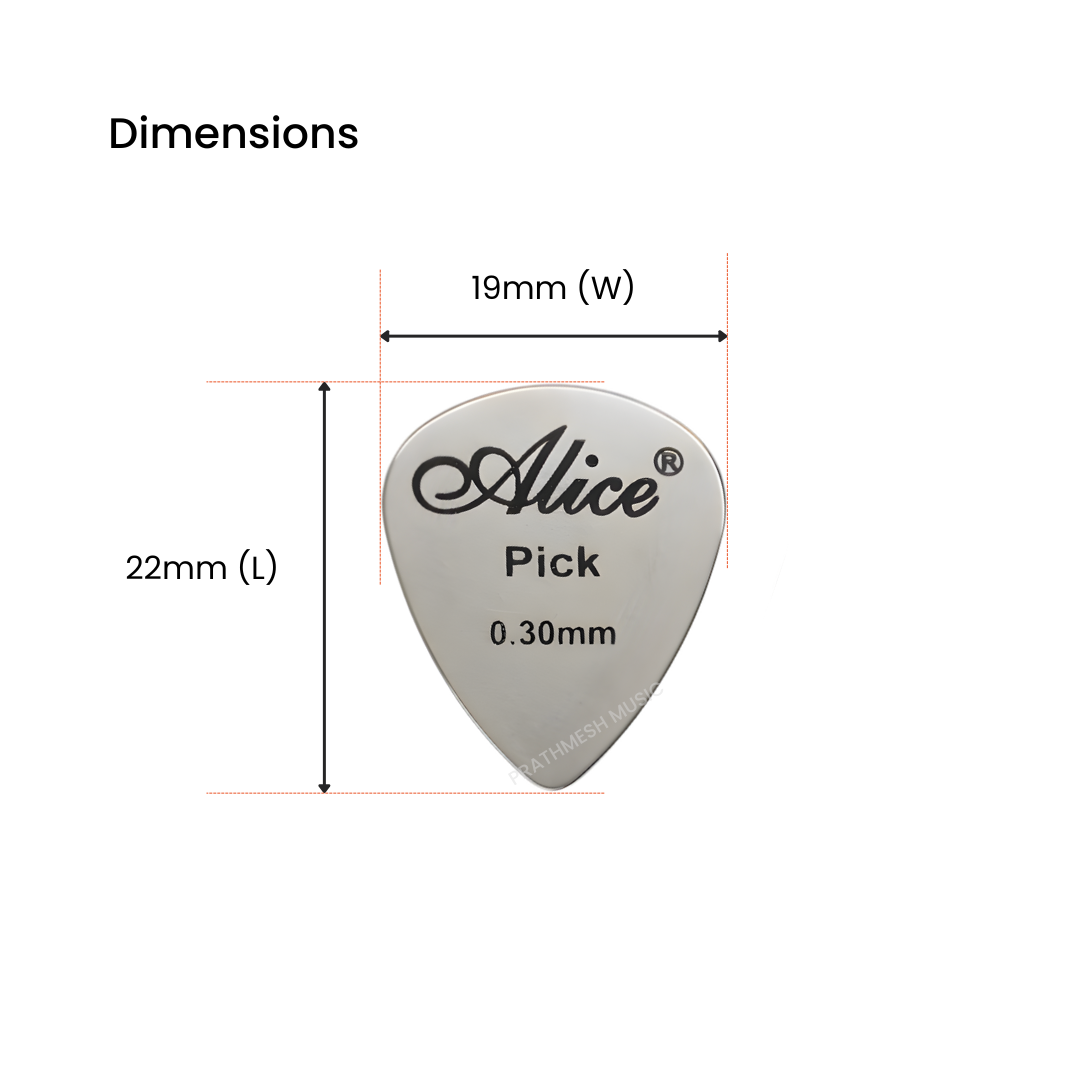 Alice APSTGB2-4 Stainless Steel Plectrum