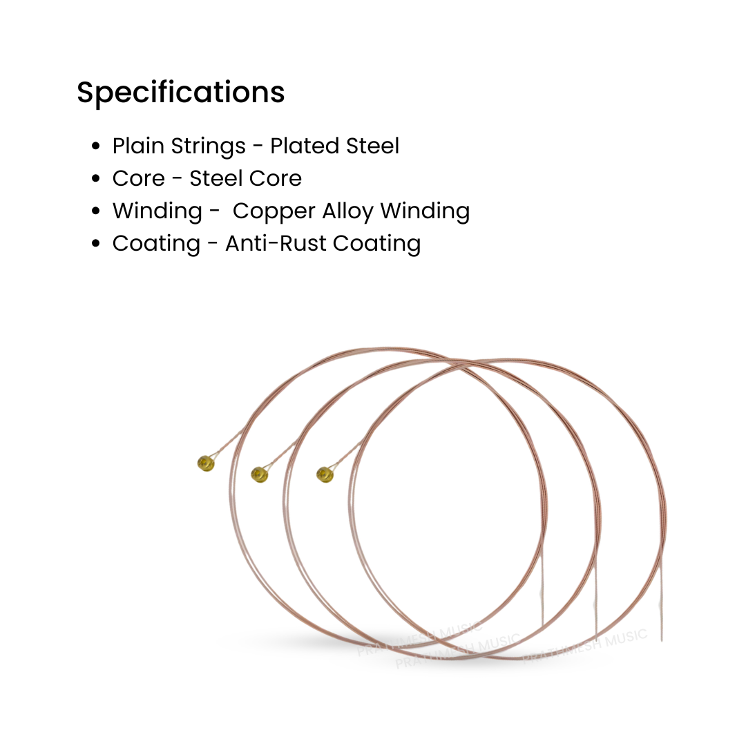 Alice A206SI-3 (3rd String) G-STRING Acoustic Guitar Strings