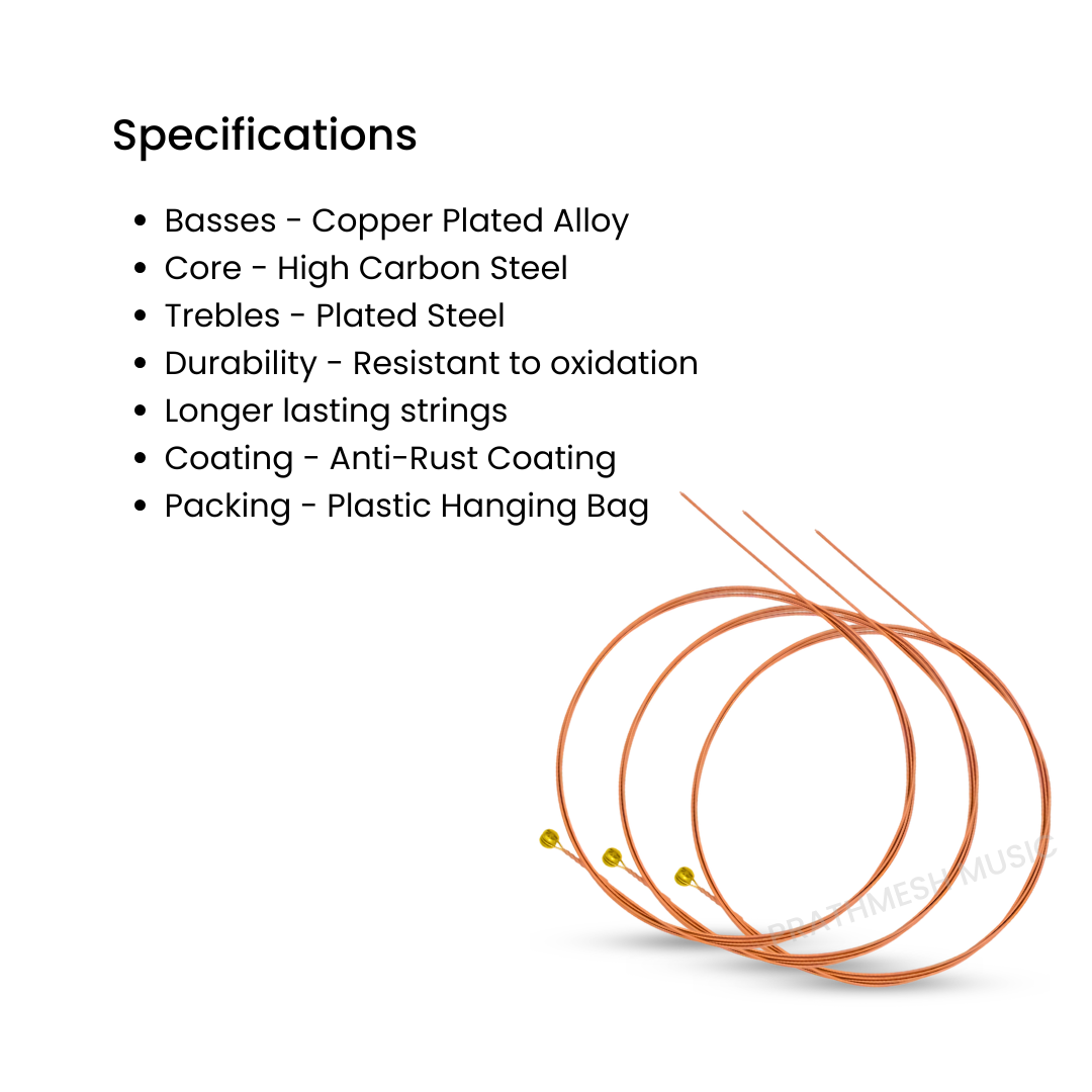 Alice A2065I-4 (4th String) D-STRING Acoustic Guitar Strings