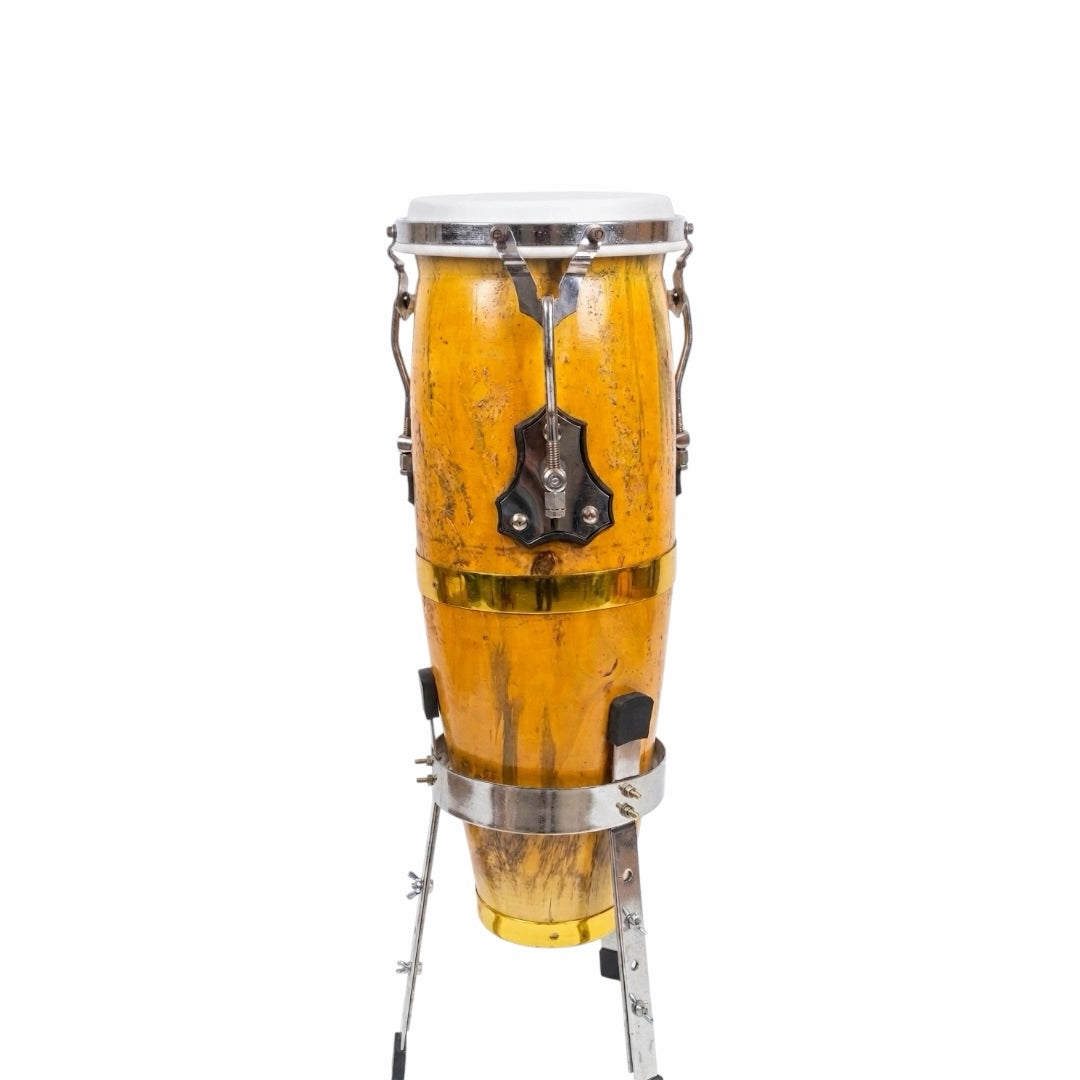 ASF Mango Congo w/ Stand