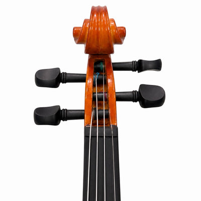 Granada Adagio Gloss Finish Violin Outfit - 1/2 Size