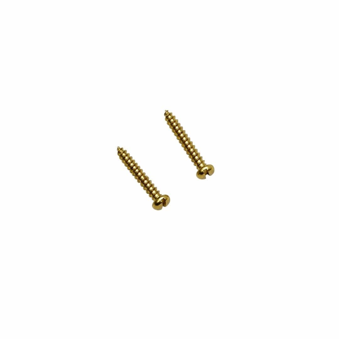 Two gold-colored metal mounting screws for Prathmesh Music HT guitar strap locks against a white background