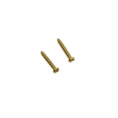 Two gold-colored metal mounting screws for Prathmesh Music HT guitar strap locks against a white background